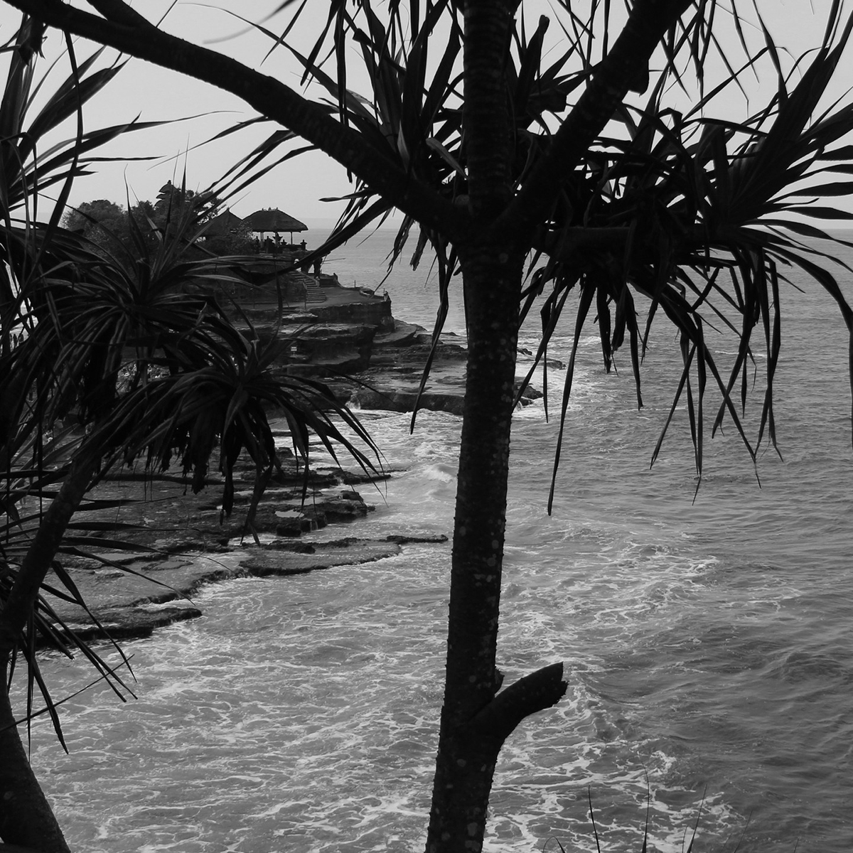 Our Caffeinated Road Trip 2 – Hungry Bird Coffee Roaster, Canngu, Bali