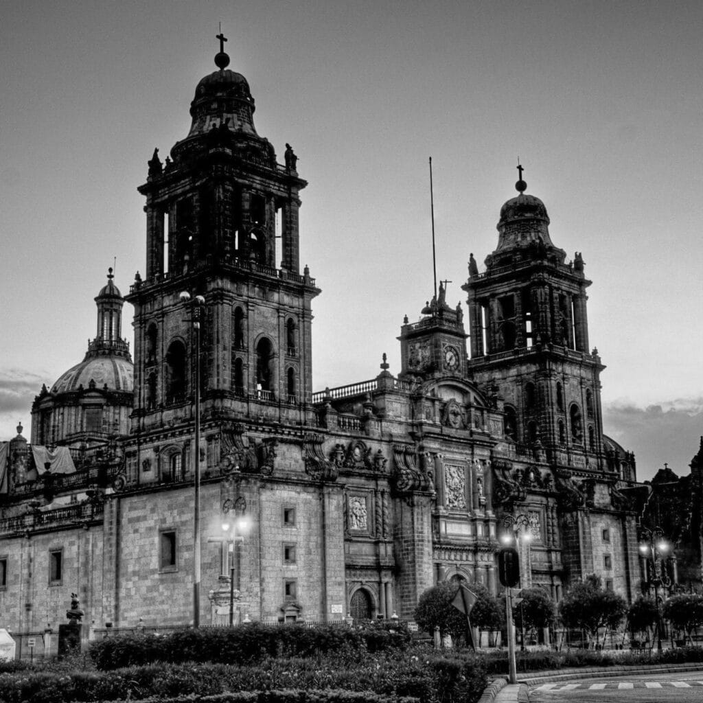 Mexico City Specialty Coffee