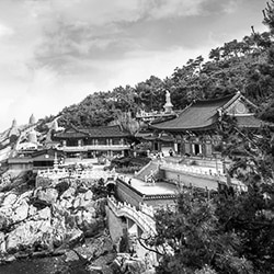 Specialty Coffee Busan