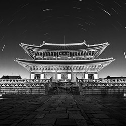 Specialty Coffee Seoul