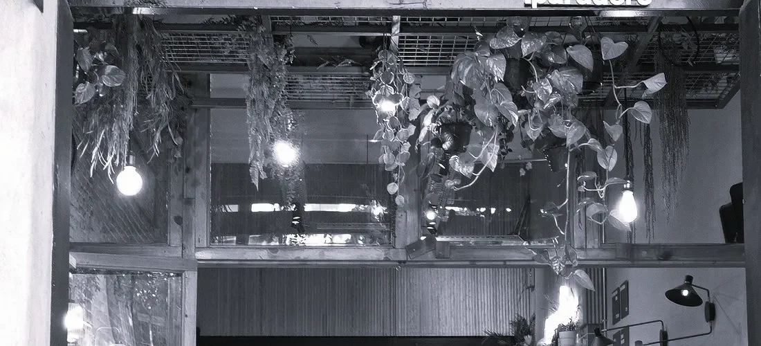 .paradero specialty coffee & brunch — cover photo