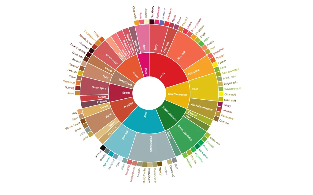 What Are Coffee Tasting Notes? The Complete Guide to Understanding Coffee Flavor Profiles