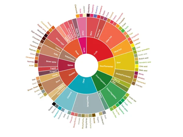 What Are Coffee Tasting Notes? The Complete Guide to Understanding Coffee Flavor Profiles