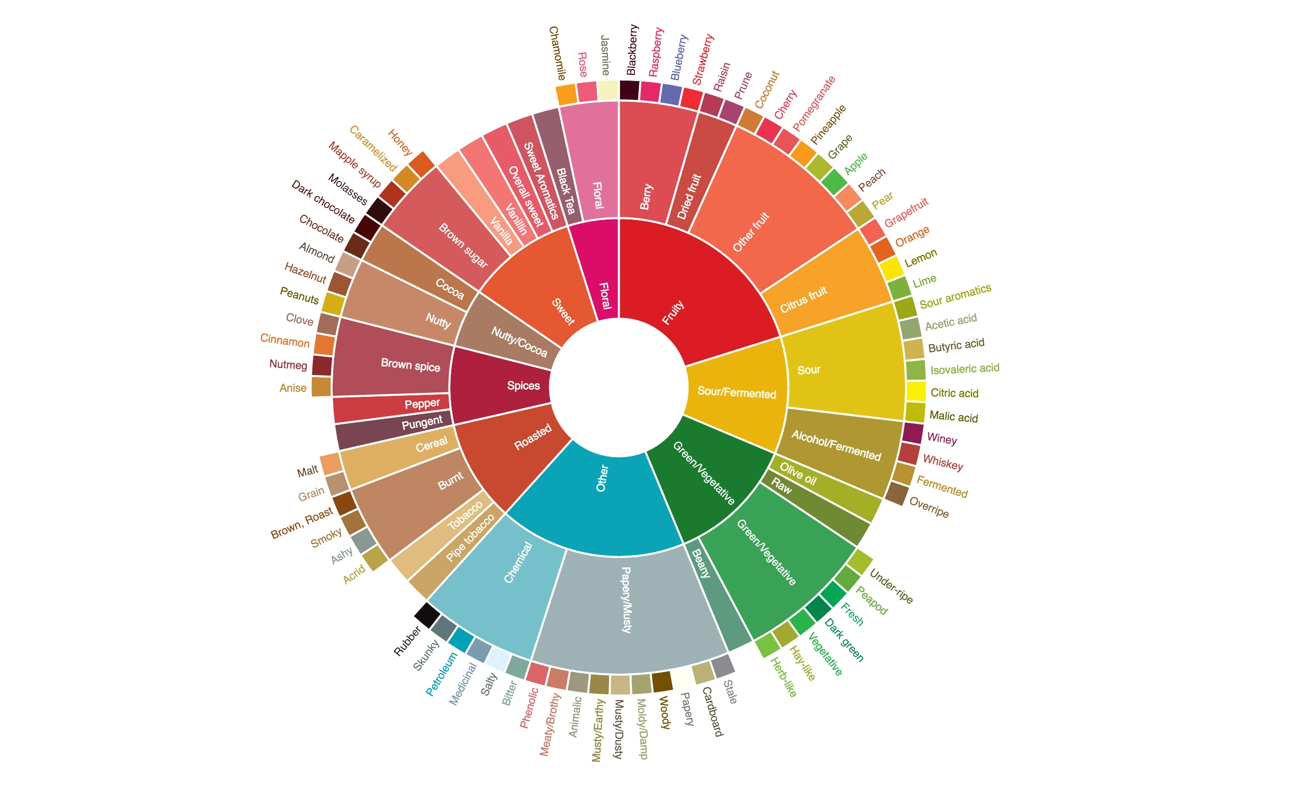 What Are Coffee Tasting Notes - SCA Coffee Flavor Wheel showing flavor categories from fruity to nutty