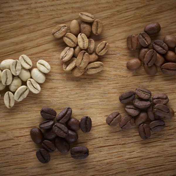 Light Roast vs Dark Roast: The Complete Coffee Guide [2026]