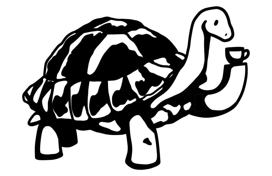 Tortoise Espresso — cover photo