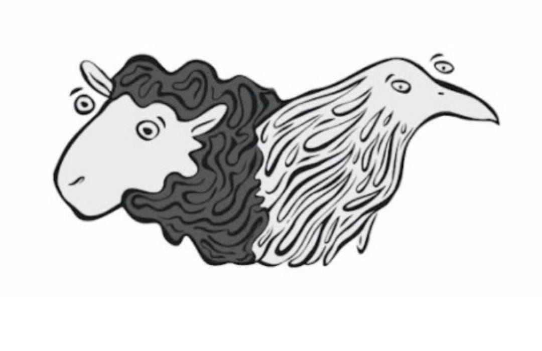 Sheep & Raven — roastery cover photo