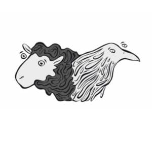 Sheep & Raven